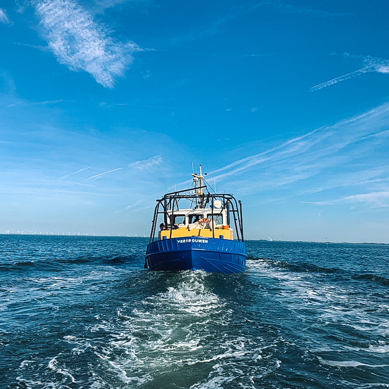 de oesterboot vanaf de achterkant die op de oosterschelde aan het varen is
