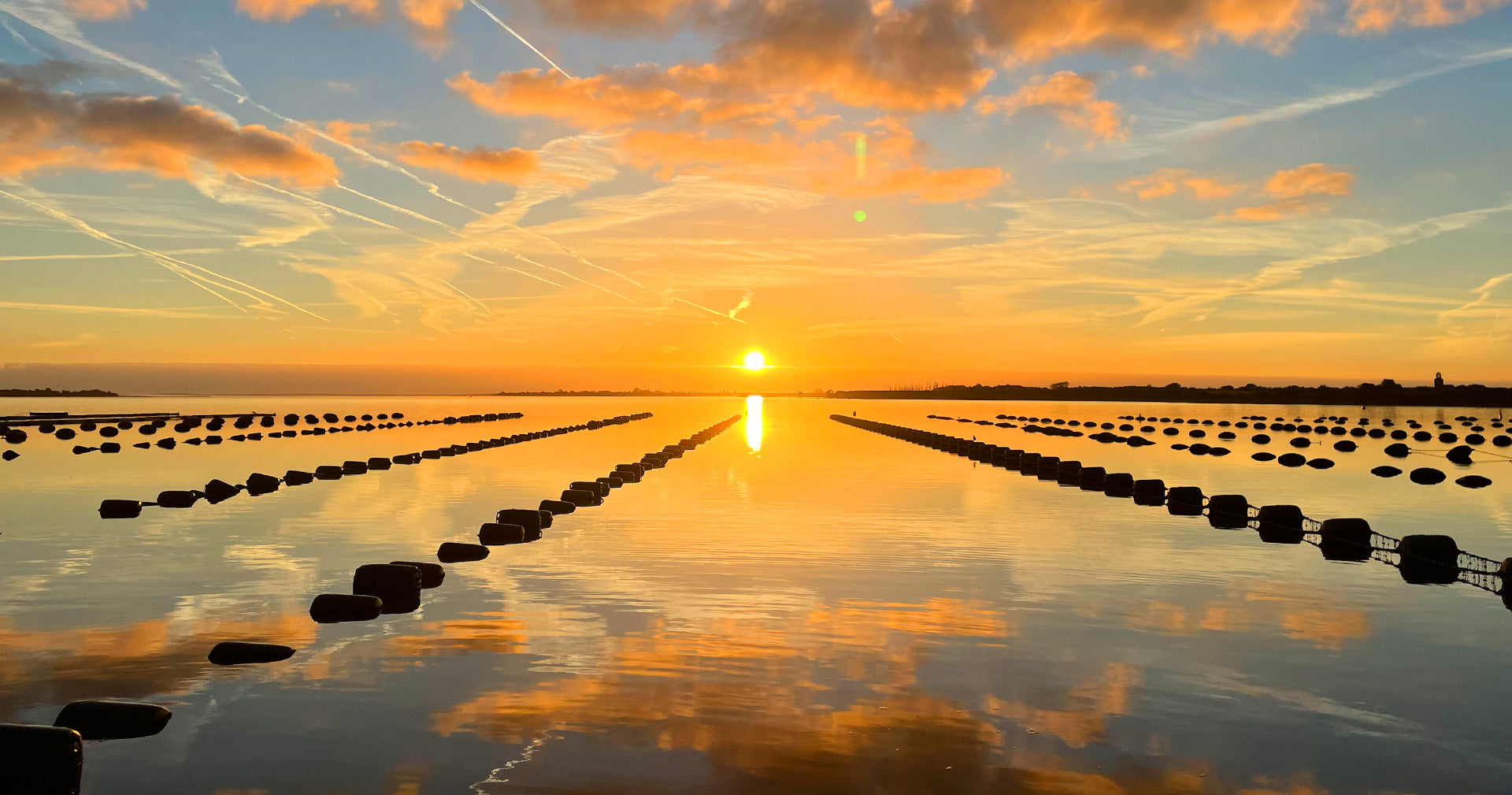 de zon gaat onder in de zee op een perceel van ace oysters